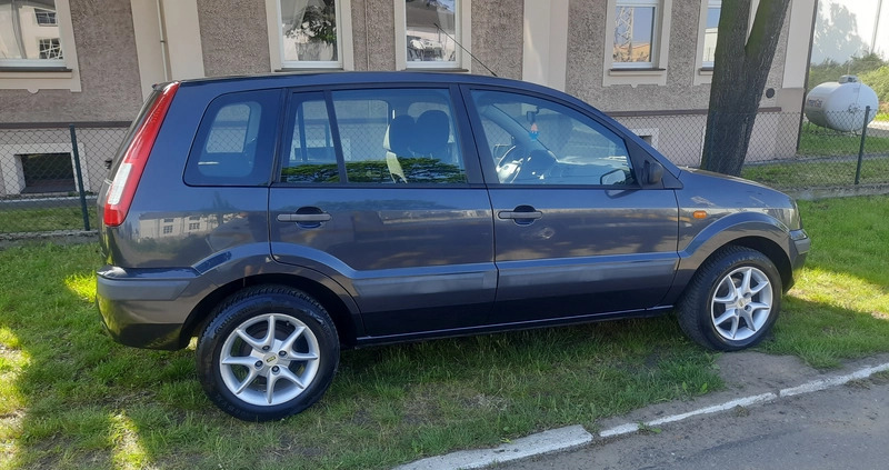 Ford Fusion cena 11900 przebieg: 115000, rok produkcji 2008 z Goleniów małe 191